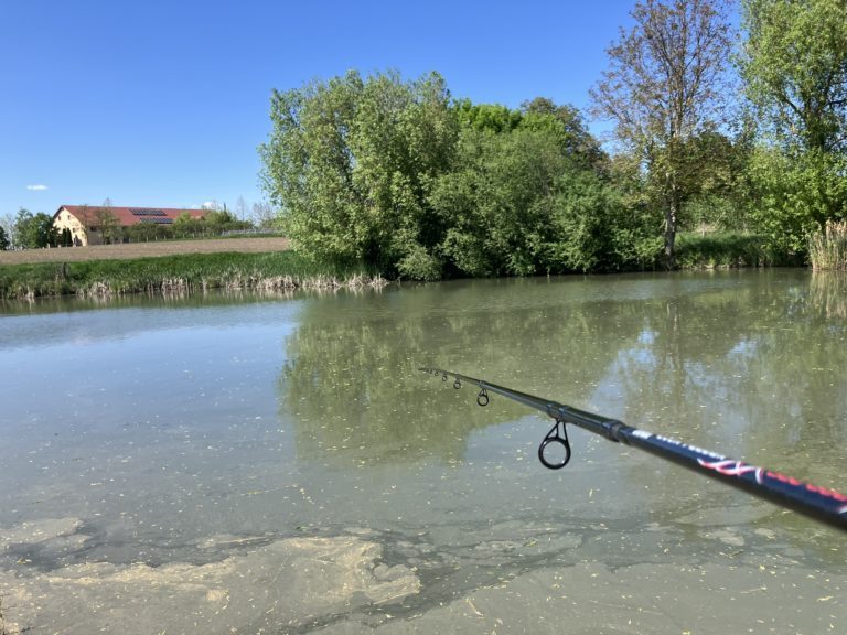 Ezt tudom nyújtani – Carp Expert Zoom feeder teszt