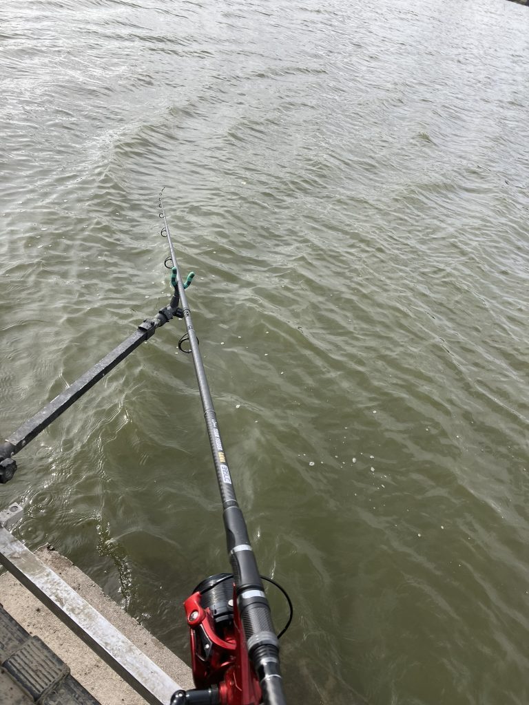 kaiwo longcast feeder 3